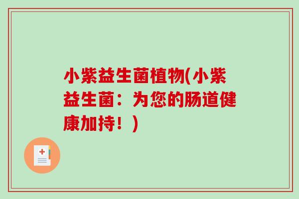 小紫益生菌植物(小紫益生菌：为您的肠道健康加持！)