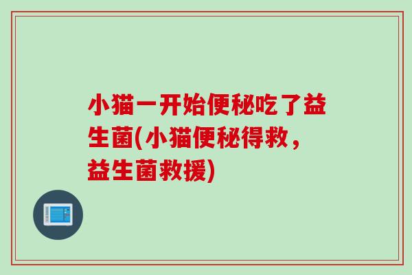 小猫一开始便秘吃了益生菌(小猫便秘得救，益生菌救援)