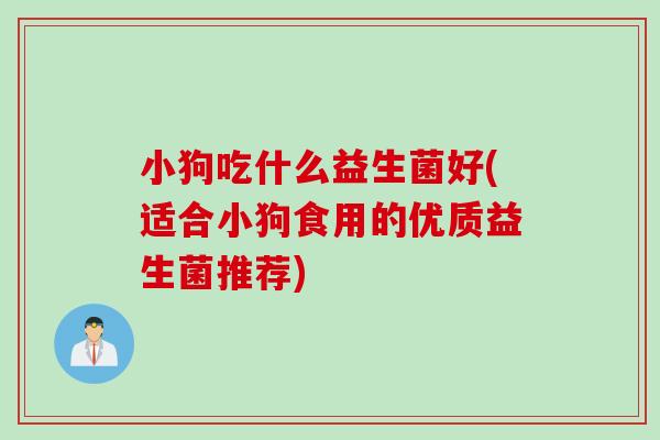小狗吃什么益生菌好(适合小狗食用的优质益生菌推荐)