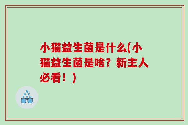 小猫益生菌是什么(小猫益生菌是啥？新主人必看！)
