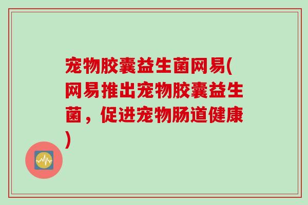 宠物胶囊益生菌网易(网易推出宠物胶囊益生菌，促进宠物肠道健康)