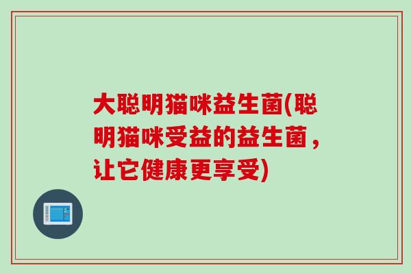 大聪明猫咪益生菌(聪明猫咪受益的益生菌,让它健康更享受) 大聪明猫咪益生菌(聪明猫咪受益的益生菌,让它健康更享受)
