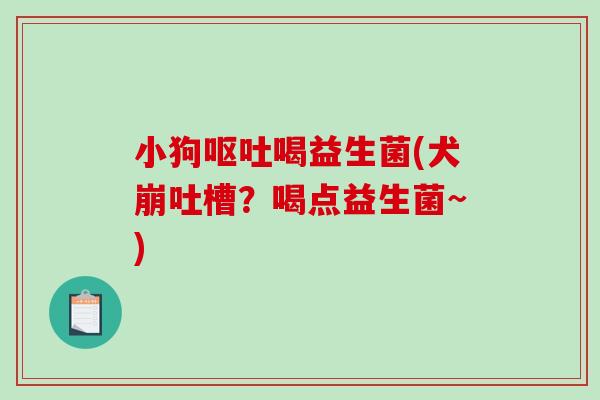 小狗喝益生菌(犬崩吐槽?喝点益生菌~) 小狗喝益生菌(犬崩吐槽?喝点益生菌~)