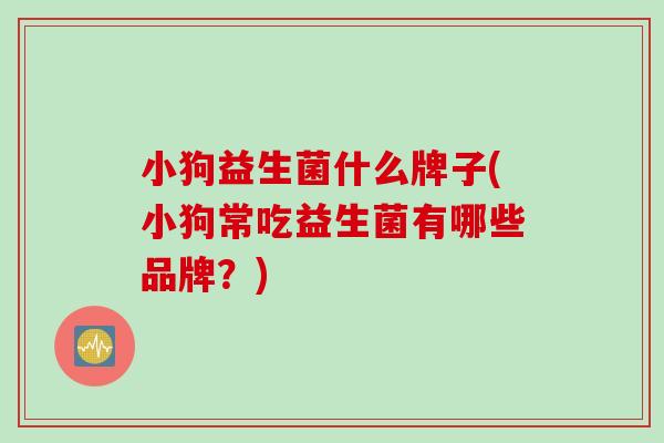 小狗益生菌什么牌子(小狗常吃益生菌有哪些品牌？)