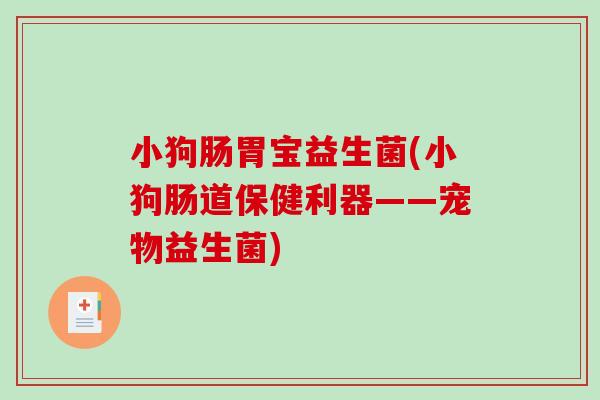小狗肠胃宝益生菌(小狗肠道保健利器——宠物益生菌)