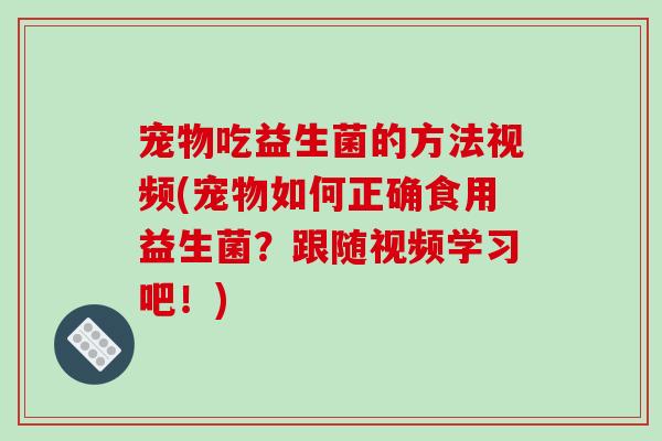 宠物吃益生菌的方法视频(宠物如何正确食用益生菌？跟随视频学习吧！)