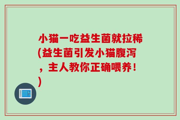 小猫一吃益生菌就拉稀(益生菌引发小猫腹泻，主人教你正确喂养！)