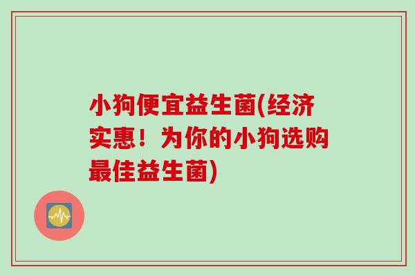 小狗便宜益生菌(经济实惠!为你的小狗选购佳益生菌) 小狗便宜益生菌(经济实惠!为你的小狗选购佳益生菌)