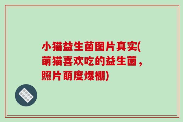 小猫益生菌图片真实(萌猫喜欢吃的益生菌，照片萌度爆棚)