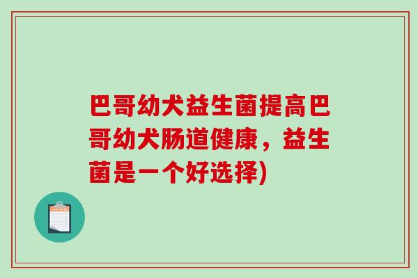 巴哥幼犬益生菌提高巴哥幼犬肠道健康，益生菌是一个好选择)