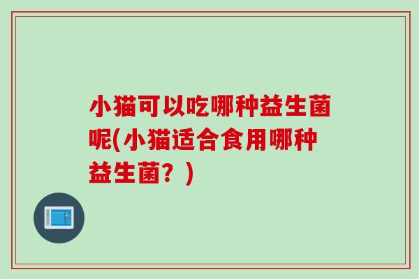 小猫可以吃哪种益生菌呢(小猫适合食用哪种益生菌？)