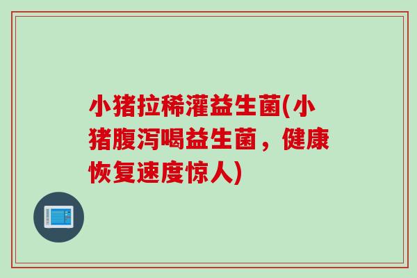 小猪拉稀灌益生菌(小猪喝益生菌,健康恢复速度惊人) 小猪拉稀灌益生菌(小猪喝益生菌,健康恢复速度惊人)