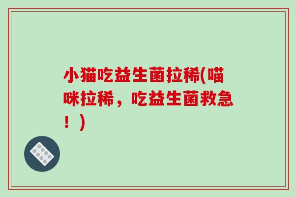小猫吃益生菌拉稀(喵咪拉稀,吃益生菌救急!) 小猫吃益生菌拉稀(喵咪拉稀,吃益生菌救急!)