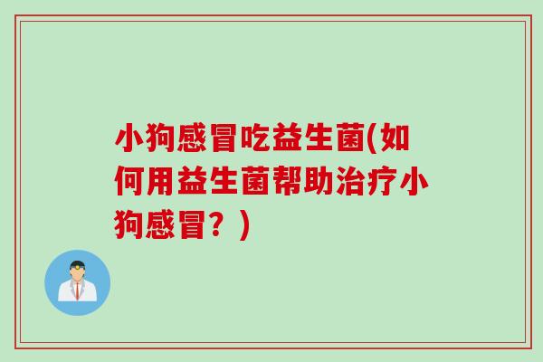 小狗感冒吃益生菌(如何用益生菌帮助治疗小狗感冒？)