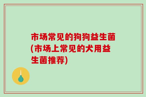 市场常见的狗狗益生菌(市场上常见的犬用益生菌推荐)