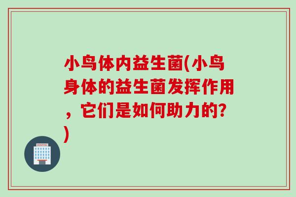 小鸟体内益生菌(小鸟身体的益生菌发挥作用，它们是如何助力的？)