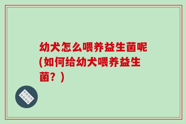 幼犬怎么喂养益生菌呢(如何给幼犬喂养益生菌？)