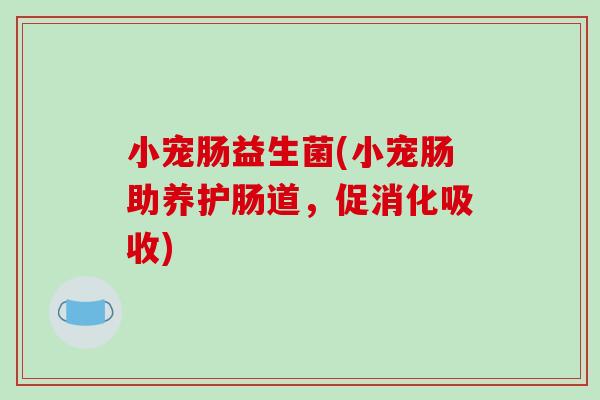 小宠肠益生菌(小宠肠助养护肠道，促消化吸收)