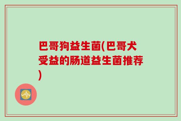 巴哥狗益生菌(巴哥犬受益的肠道益生菌推荐)