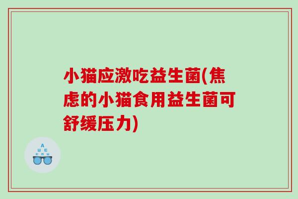 小猫应激吃益生菌(焦虑的小猫食用益生菌可舒缓压力)