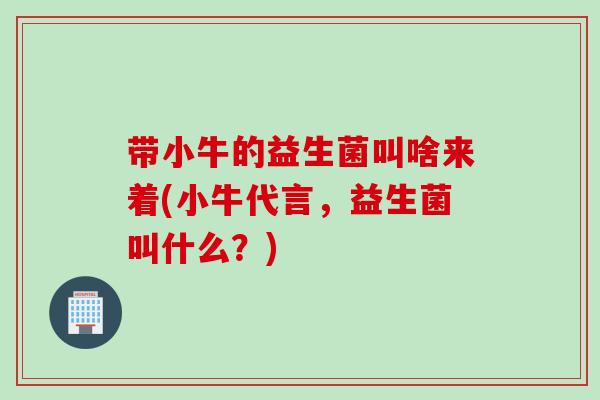 带小牛的益生菌叫啥来着(小牛代言，益生菌叫什么？)