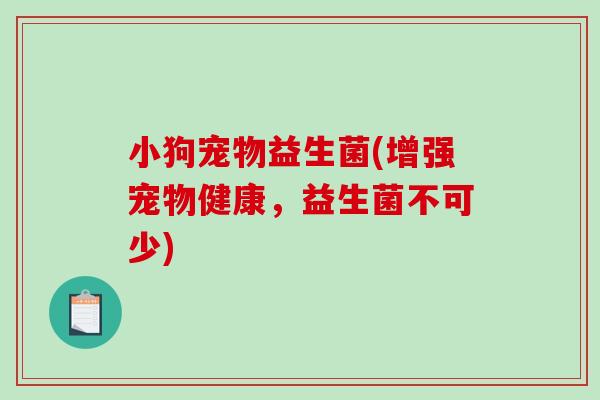 小狗宠物益生菌(增强宠物健康，益生菌不可少)