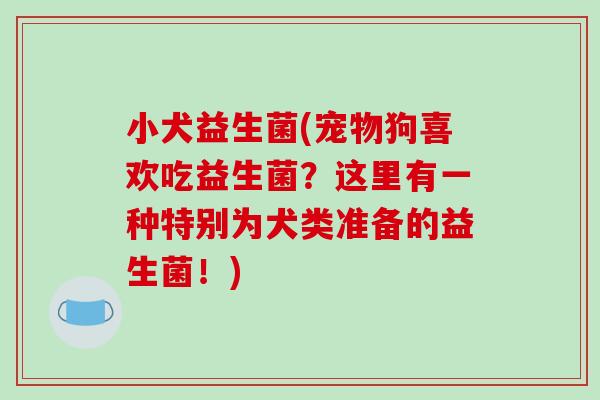 小犬益生菌(宠物狗喜欢吃益生菌？这里有一种特别为犬类准备的益生菌！)