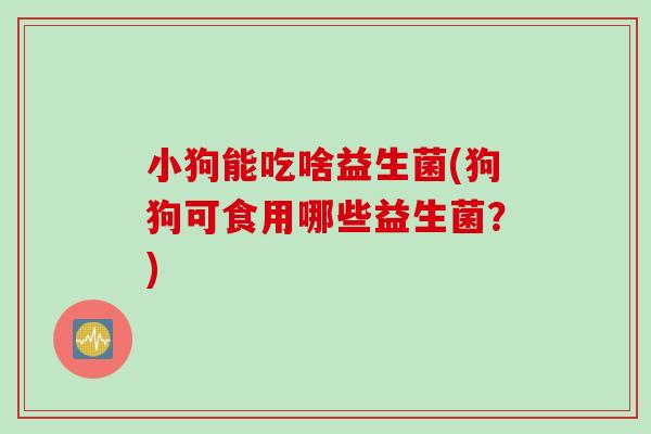 小狗能吃啥益生菌(狗狗可食用哪些益生菌？)