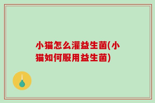 小猫怎么灌益生菌(小猫如何服用益生菌)