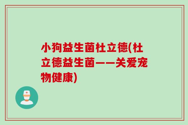 小狗益生菌杜立德(杜立德益生菌——关爱宠物健康)