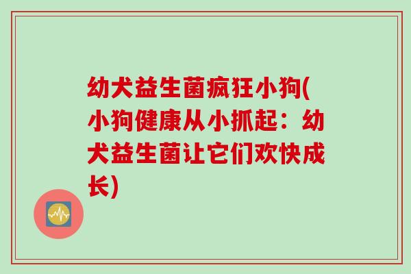 幼犬益生菌疯狂小狗(小狗健康从小抓起：幼犬益生菌让它们欢快成长)
