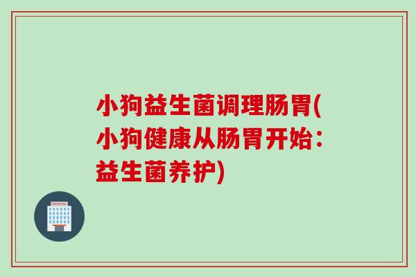 小狗益生菌调理肠胃(小狗健康从肠胃开始:益生菌养护) 小狗益生菌调理肠胃(小狗健康从肠胃开始:益生菌养护)