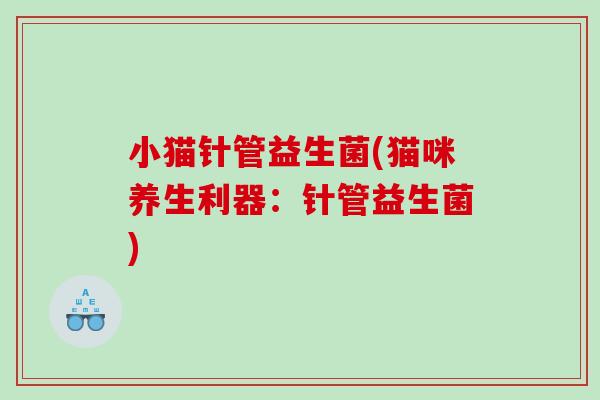 小猫针管益生菌(猫咪养生利器：针管益生菌)