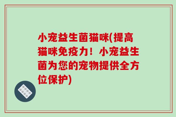 小宠益生菌猫咪(提高猫咪免疫力！小宠益生菌为您的宠物提供全方位保护)