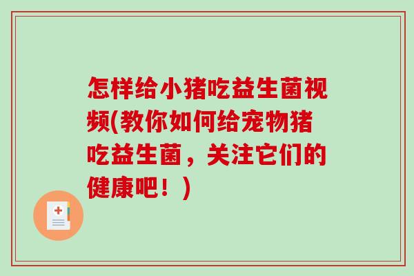 怎样给小猪吃益生菌视频(教你如何给宠物猪吃益生菌，关注它们的健康吧！)