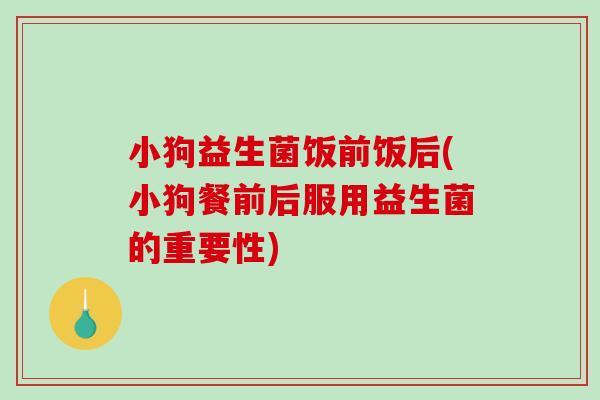 小狗益生菌饭前饭后(小狗餐前后服用益生菌的重要性)