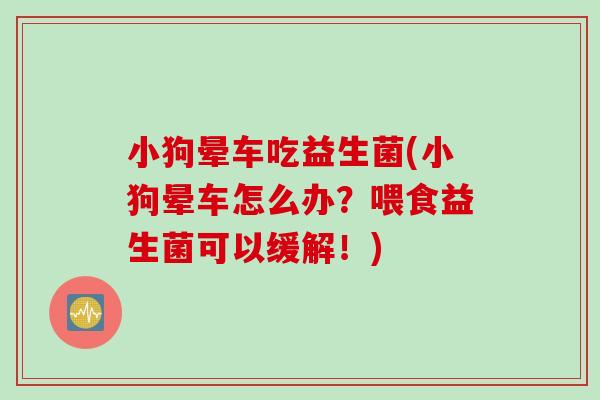 小狗晕车吃益生菌(小狗晕车怎么办？喂食益生菌可以缓解！)