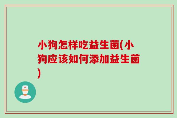 小狗怎样吃益生菌(小狗应该如何添加益生菌) 小狗怎样吃益生菌(小狗应该如何添加益生菌)