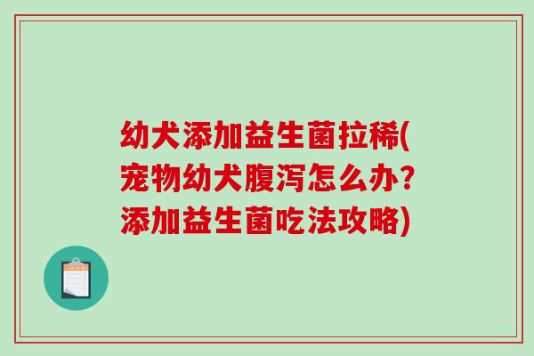 幼犬添加益生菌拉稀(宠物幼犬腹泻怎么办？添加益生菌吃法攻略)