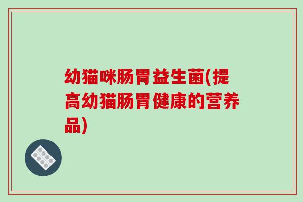 幼猫咪肠胃益生菌(提高幼猫肠胃健康的营养品)