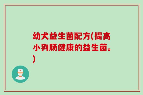 幼犬益生菌配方(提高小狗肠健康的益生菌。) 幼犬益生菌配方(提高小狗肠健康的益生菌。)