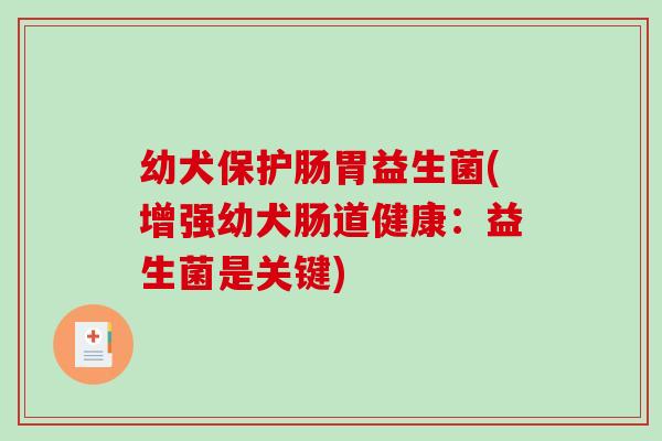 幼犬保护肠胃益生菌(增强幼犬肠道健康：益生菌是关键)