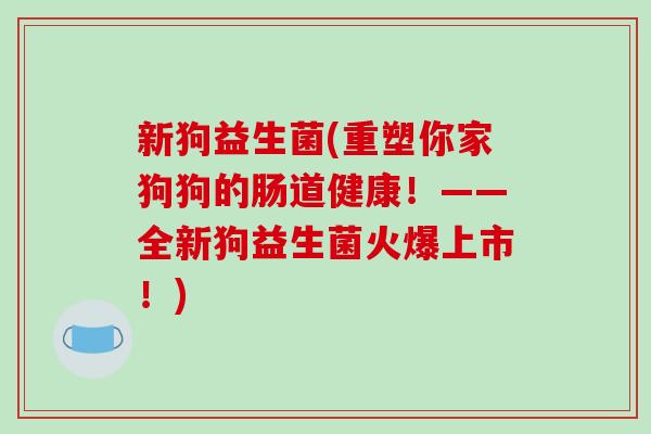 新狗益生菌(重塑你家狗狗的肠道健康！——全新狗益生菌火爆上市！)