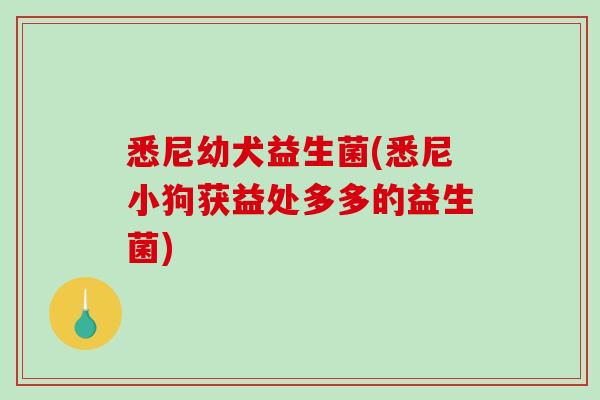 悉尼幼犬益生菌(悉尼小狗获益处多多的益生菌) 悉尼幼犬益生菌(悉尼小狗获益处多多的益生菌)