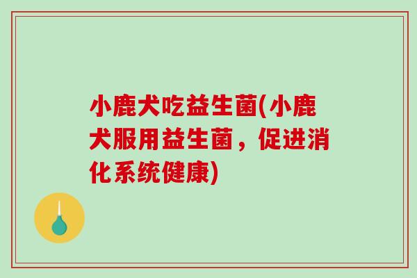 小鹿犬吃益生菌(小鹿犬服用益生菌,促进消化系统健康) 小鹿犬吃益生菌(小鹿犬服用益生菌,促进消化系统健康)