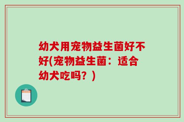 幼犬用宠物益生菌好不好(宠物益生菌:适合幼犬吃吗?) 幼犬用宠物益生菌好不好(宠物益生菌:适合幼犬吃吗?)