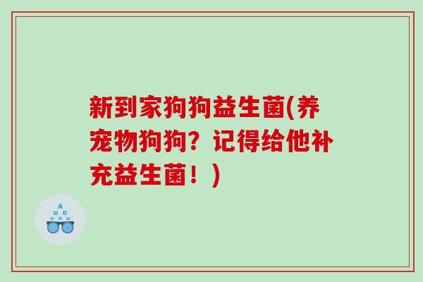 新到家狗狗益生菌(养宠物狗狗？记得给他补充益生菌！)