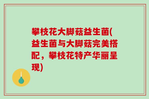 攀枝花大脚菇益生菌(益生菌与大脚菇完美搭配，攀枝花特产华丽呈现)