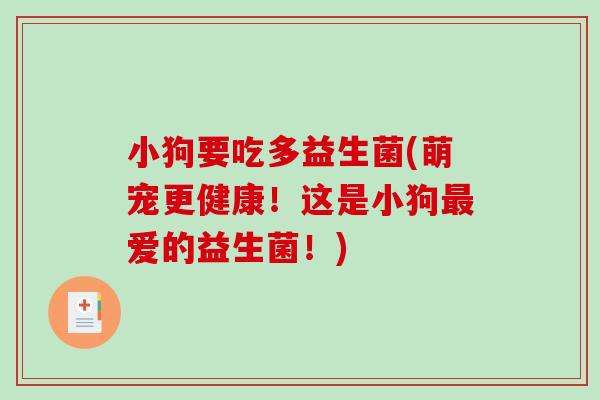 小狗要吃多益生菌(萌宠更健康！这是小狗最爱的益生菌！)