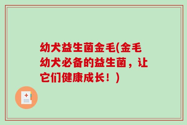 幼犬益生菌金毛(金毛幼犬必备的益生菌，让它们健康成长！)